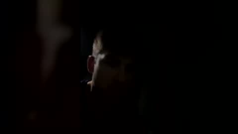 jul061007 online show from 15, 3, 2026