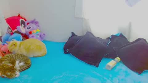  Juliana Torres  online show from 7, 1, 2026