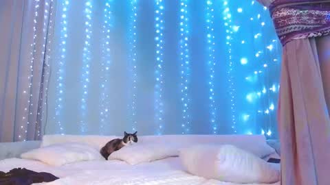 Julia online show from 29, 11, 2025