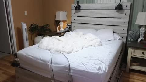 Texas Mamasita online show from 23, 12, 2025