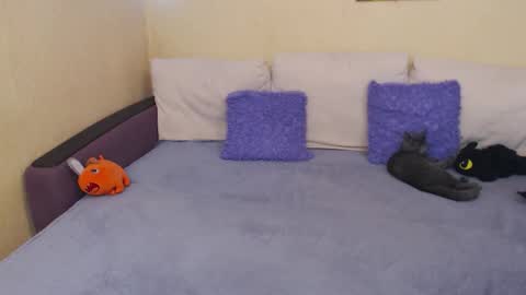 Jul online show from 22, 9, 2025