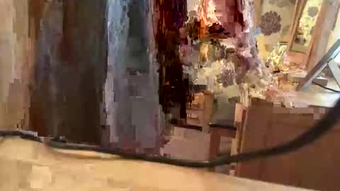 brian online show from 6, 11, 2025