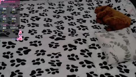 julieqt online show from 16, 2, 2025