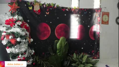 Snapshot of just_katiex chatting on 31, 12, 2024 Sofia online show from 31, 12, 2024