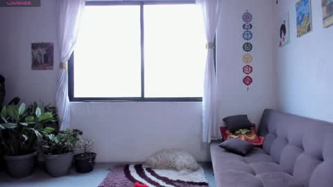 Sofia online show from 11, 4, 2026