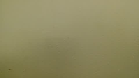 Just marlon online show from 17, 1, 2025