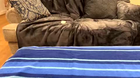 Snapshot of just_ur_avg_cpl chatting on 17, 2, 2025 justuravgdad justuravgmom online show from 17, 2, 2025