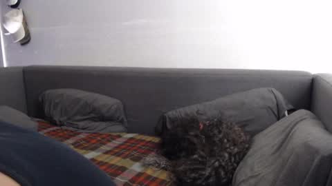 justasucker4u online show from 20, 11, 2025