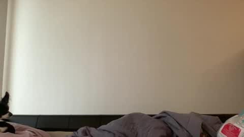 Jess online show from 25, 1, 2025