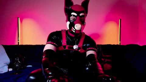 Snapshot of k9_goodboy chatting on 25, 2, 2026 Alex online show from 25, 2, 2026