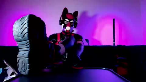 Snapshot of k9_goodboy chatting on 1, 3, 2026 Alex online show from 1, 3, 2026