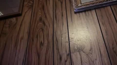 Kac online show from 8, 11, 2025