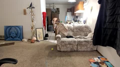 Kaiku77 online show from 30, 11, 2025