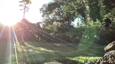 Kailee Smile online show from 10, 9, 2025