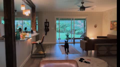 Kailee Smile online show from 28, 3, 2026