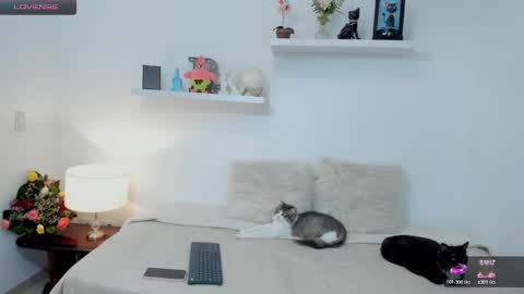 Snapshot of kailua_rose chatting on 23, 2, 2025 KailuaRose online show from 23, 2, 2025