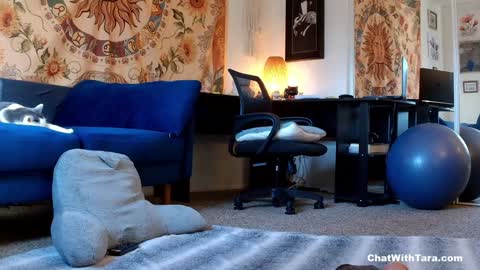 Tara Smith online show from 14, 1, 2025