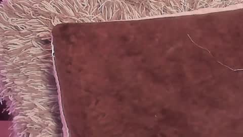 Snapshot of kalimonroee chatting on 29, 12, 2024 KaliMonroe online show from 29, 12, 2024