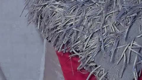 Snapshot of kalimonroee chatting on 16, 1, 2025 KaliMonroe online show from 16, 1, 2025