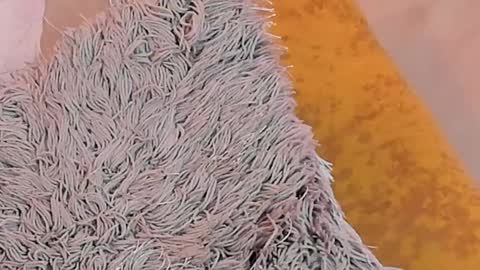 Snapshot of kalimonroee chatting on 26, 1, 2025 KaliMonroe online show from 26, 1, 2025