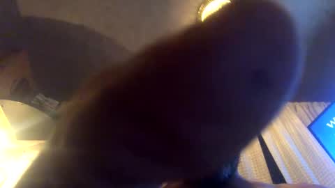 Snapshot of kaneisyours2420 chatting on 23, 9, 2025 Tucker online show from 23, 9, 2025