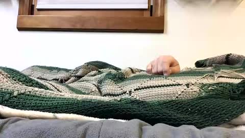 Snapshot of kansas_mastutbater chatting on 24, 10, 2025 kansas_mastutbater online show from 24, 10, 2025