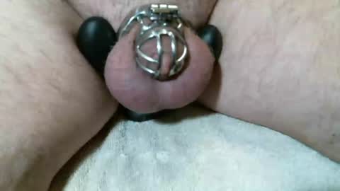 KC Cam online show from 12, 1, 2026