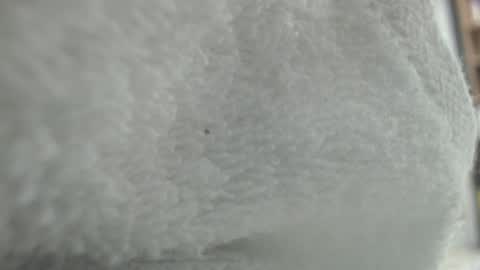 Karin online show from 20, 1, 2025