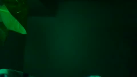 Karla Gonzaless online show from 13, 11, 2025