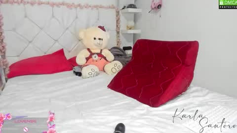 Snapshot of karla_santoro chatting on 16, 12, 2025 Karla Santoro online show from 16, 12, 2025