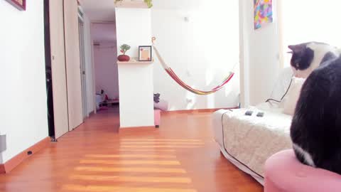 Snapshot of karlye_5 chatting on 22, 1, 2025 Karlye online show from 22, 1, 2025