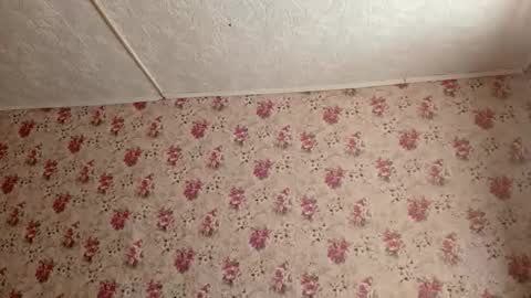 Sara online show from 27, 2, 2026