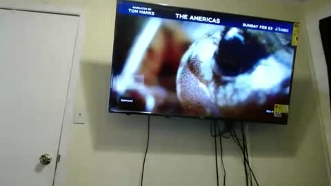 kashmoniy online show from 11, 2, 2025