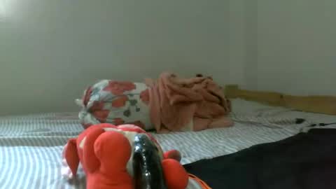 lovely online show from 1, 2, 2026