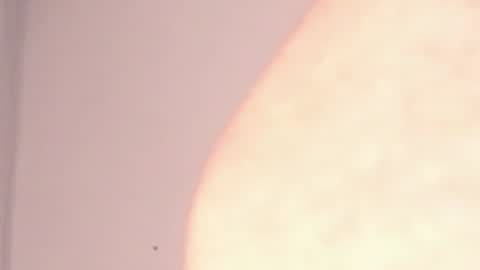 Help me with rate thanks  online show from 7, 1, 2025