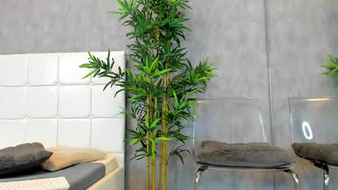 Kate online show from 15, 2, 2025