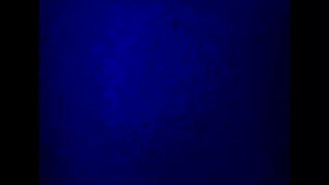 Snapshot of kathyfantasylover chatting on 5, 3, 2025 kathy online show from 5, 3, 2025