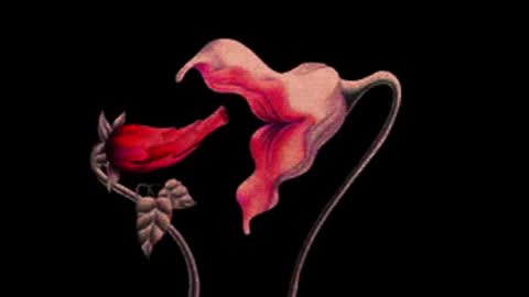 Snapshot of katsurotaro chatting on 14, 11, 2025 katsuro online show from 14, 11, 2025