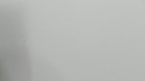 katy blonde girl and paola big boobs online show from 28, 10, 2025