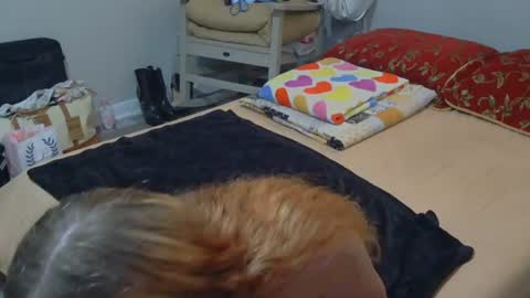 kaylee kakes online show from 23, 6, 2026