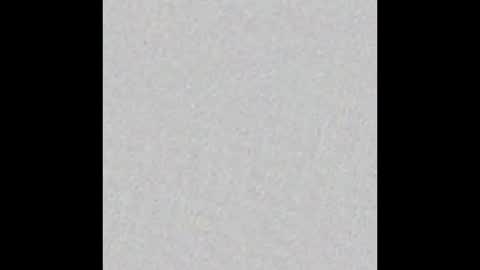 Kay Pup online show from 19, 11, 2025