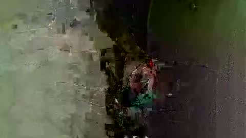 keipi online show from 7, 12, 2024