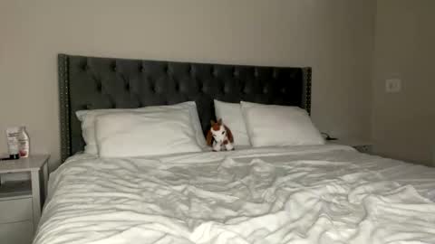 Kekeoutlaw online show from 13, 2, 2026