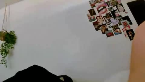 Kelsi  online show from 9, 4, 2026