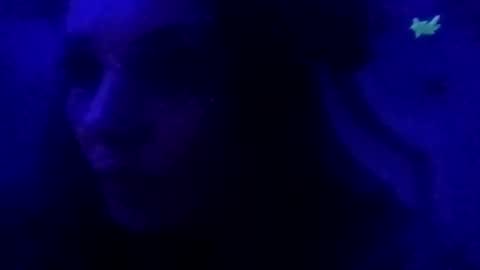 kenkenkenily online show from 4, 12, 2025