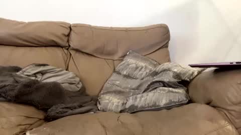 Snapshot of kevfromchat chatting on 8, 1, 2025 kevfromchat online show from 8, 1, 2025