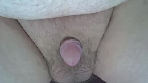 maggot online show from 8, 3, 2025