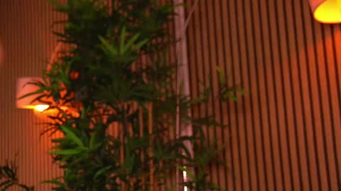KhloeDaviss online show from 23, 5, 2026