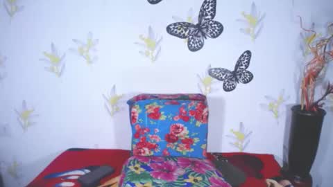 Snapshot of khoraymabitch chatting on 28, 12, 2024 khoraymabitch online show from 28, 12, 2024