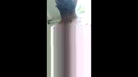 Khushipussy online show from 4, 12, 2025